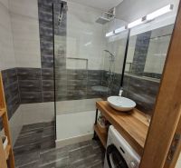 Badezimmer in einer Einzimmerwohnung mit Waschbecken, Duschkabine und Waschmaschine.