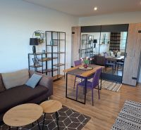 1-Zimmer-Wohnung mit Sofa, Esstisch und Bodenbelag in Holzoptik.