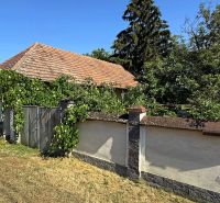 Ein von Grün umgebenes Haus in der Štefánikova-Straße in Krušovce, ideal für Wohnbaugrundstücke.