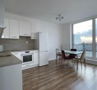 Küche und Essbereich in einer 2-Zimmer-Wohnung mit Holzboden und Terrasse.