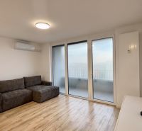 Wohnzimmer in einer Zweizimmerwohnung mit Holzboden, grauem Sofa, Glastisch.