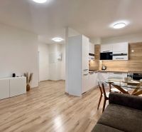 Wohnzimmer in einer 2-Zimmer-Wohnung mit Küche, Holzboden, helle Wände.