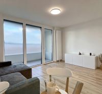 Helles Wohnzimmer mit Sofa, Balkon und Holzdekorboden in einer 2-Zimmer-Wohnung.