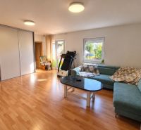 Wohnzimmer in einem Einfamilienhaus mit Holzboden und einem grünen Sofa.