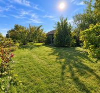 Der Garten des Einfamilienhauses in Martovce mit Rasen, Bäumen und sonnigem Wetter.