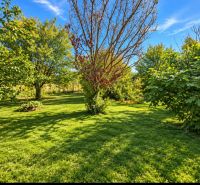 Der Garten eines Einfamilienhauses in Martovce mit üppiger Vegetation und klarem Himmel.