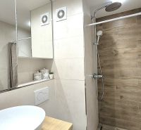 Badezimmer eines Einzimmerapartments mit großem Spiegel und Duschkabine mit Holzdekor.
