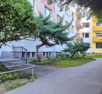 Ein Gehweg umgeben von Grünflächen und Bäumen bei einem Einzimmerapartment in der Dlhá Straße in Nitra - Chrenová.