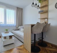 Einzimmerwohnung mit Sofa, Tisch, Barhockern und Boden in Holzoptik.