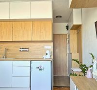 Küchenbereich eines Einzimmerapartments mit weißen und hölzernen Schränken, Fernseher und Dekorationen.