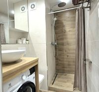 Badezimmer in einem Studio-Apartment mit Holzboden, Dusche und Waschmaschine.
