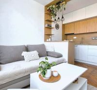 Einzimmerwohnung mit Küche, Sofa, Regalen und Boden in Holzoptik.
