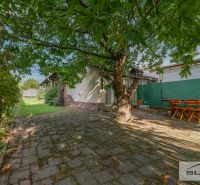 Ein Einfamilienhaus in der Hauptstraße in Štefanová, umgeben von einem grünen Hof mit einem großen Baum.