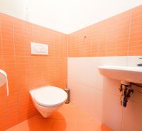 Badezimmer in einer 3-Zimmer-Wohnung mit orangefarbenen Fliesen und hängendem WC.