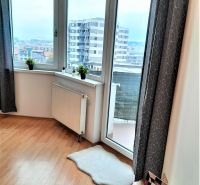 Große Fenster in einer 2-Zimmer-Wohnung mit einem Boden in Holzoptik.
