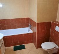 Badezimmer mit Badewanne und WC in einer 2-Zimmer-Wohnung, umgeben von Keramikfliesen.