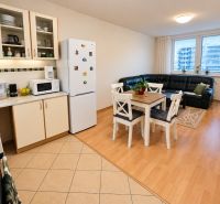 Küche und Wohnzimmer in einer 2-Zimmer-Wohnung mit Holzboden, Esstisch und Sofa.