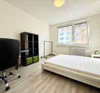 Helles Schlafzimmer in einer 3-Zimmer-Wohnung mit Bett, Schreibtisch, Regal und Holzboden.
