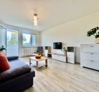 Wohnzimmer in einer 3-Zimmer-Wohnung mit Holzboden und ausziehbarem Sofa.
