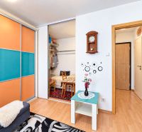 Innenraum einer Einzimmerwohnung mit einem farbigen Schrank und einem Boden in Holzoptik.
