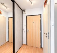 Eingangsflur mit Gegensprechanlage und Holzboden in einer Einzimmerwohnung.