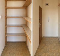 Flur mit Regalen und Eingang in einer 2-Zimmer-Wohnung, Boden mit Holzdekor.
