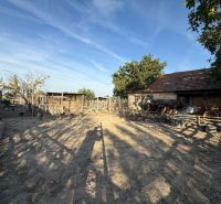 Der Hof eines Einfamilienhauses in Komárno, ein eingezäunter Bereich mit Bäumen und älteren Gebäuden.