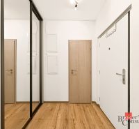 Eingangsflur mit Holzboden und Spiegelschränken in einer 2-Zimmer-Wohnung.