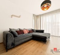 Wohnzimmer in einer 2-Zimmer-Wohnung mit einer Eckcouch und einem Boden in Holzoptik.