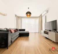 Wohnzimmer in einer 2-Zimmer-Wohnung mit einem Sofa und einem Boden in Holzoptik.