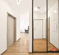 Der Flur in der 2-Zimmer-Wohnung mit einem Boden in Holzoptik und einem Spiegelschrank.