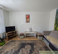 Wohnzimmer in einer 2-Zimmer-Wohnung mit Teppichen und Holzboden.