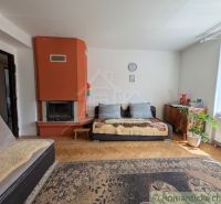 Wohnzimmer in einer Zweizimmerwohnung mit Kamin und Boden in Holzoptik.