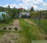 Ein Garten mit Rasen und einem Folientunnel in der Umgebung von Medzilaborce, umgeben von Holzbauten.