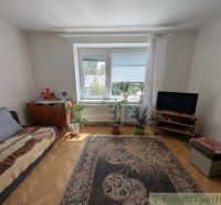 Ein Zimmer in einer 2-Zimmer-Wohnung mit Teppichen, Blumen und einem Boden in Holzoptik.
