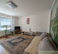 Wohnzimmer in einer Zweizimmerwohnung mit Teppich, bequemer Couch und großem Fenster.