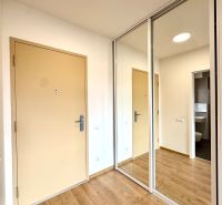 Eingangsflur in einer 2-Zimmer-Wohnung mit einem Schiebespiegelschrank und einem Boden in Holzoptik.