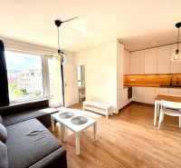 Wohnzimmer mit Küche in einer 2-Zimmer-Wohnung mit Holzboden.