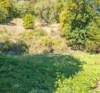 Erholungsgrundstücke in Štiavnické Bane mit üppiger grüner Vegetation und Bäumen.