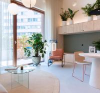 Helle Innenausstattung einer 2-Zimmer-Wohnung mit runden Leuchten, Pflanzen und einem Glastisch.