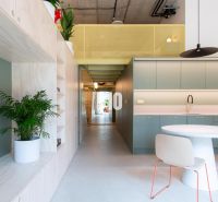 2-Zimmer-Wohnung mit Küche, grünen Schränken, Tisch und einer Topfpflanze.