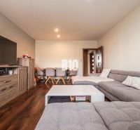 Gemütliches Wohnzimmer mit grauem Sofa und Holzboden in einer 3-Zimmer-Wohnung.