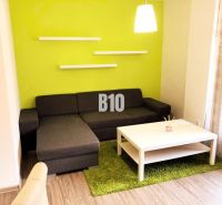 Wohnzimmer einer Zweizimmerwohnung mit dunkelgrauem Sofa, grünem Teppich und Regalen.