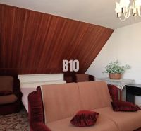 Ein Zimmer mit einem beigen Sofa, Holzvertäfelung, dekorativem Grün in einem Einfamilienhaus.