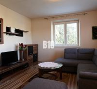 Wohnzimmer in einem Einfamilienhaus mit einem bequemen Sofa und einem Boden in Holzoptik.