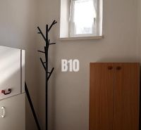 Ein kleiner Raum in einem Einfamilienhaus mit einer Garderobe und einem Schrank, Boden mit Holzdekor.