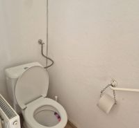 Toilette in einem Einfamilienhaus mit einem Boden in Holzoptik.