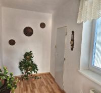 Innenraum eines Einfamilienhauses, Boden mit Holzdekor, Pflanzen und Dekorationen an der Wand.