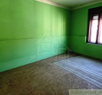 Grüne Wände und Boden mit Holzdekor in Geschäftsräumen.