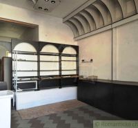 Innenraum mit Theke, Regalen und Boden in Holzoptik.